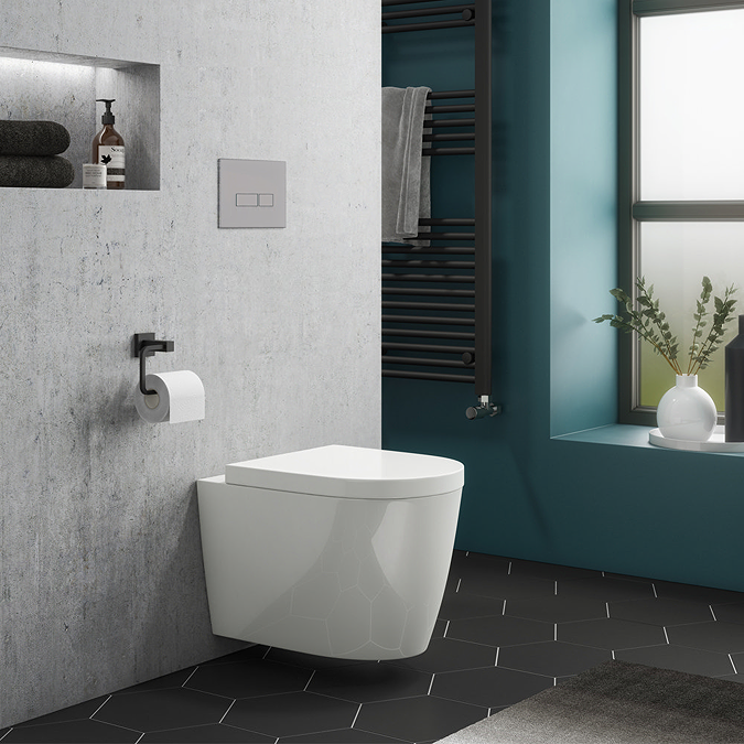 wall hung toilet for mobility toilet for elderly and accessibility
